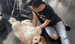 暗黑网红爆料视频大全,揭秘网络背后的惊人真相